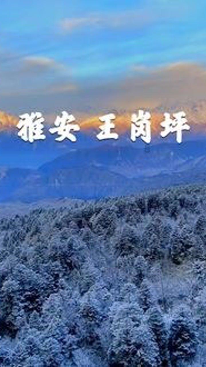 探寻吉鹿力!尽在